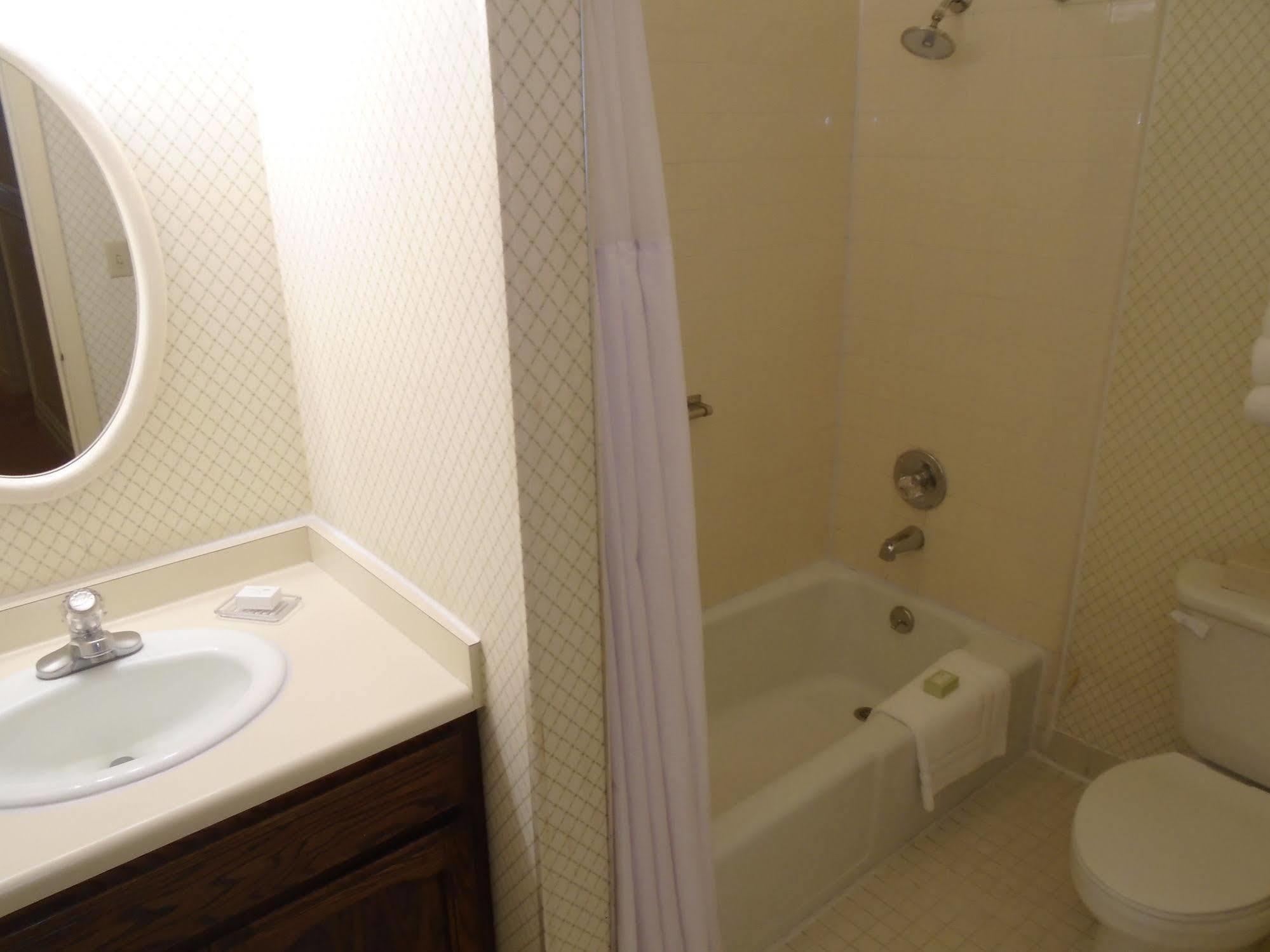 Stanyan Park Hotel San Francisco Luaran gambar